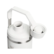 Stanley IceFlow Tumbler with Fast Flow Lid (30OZ) Frost