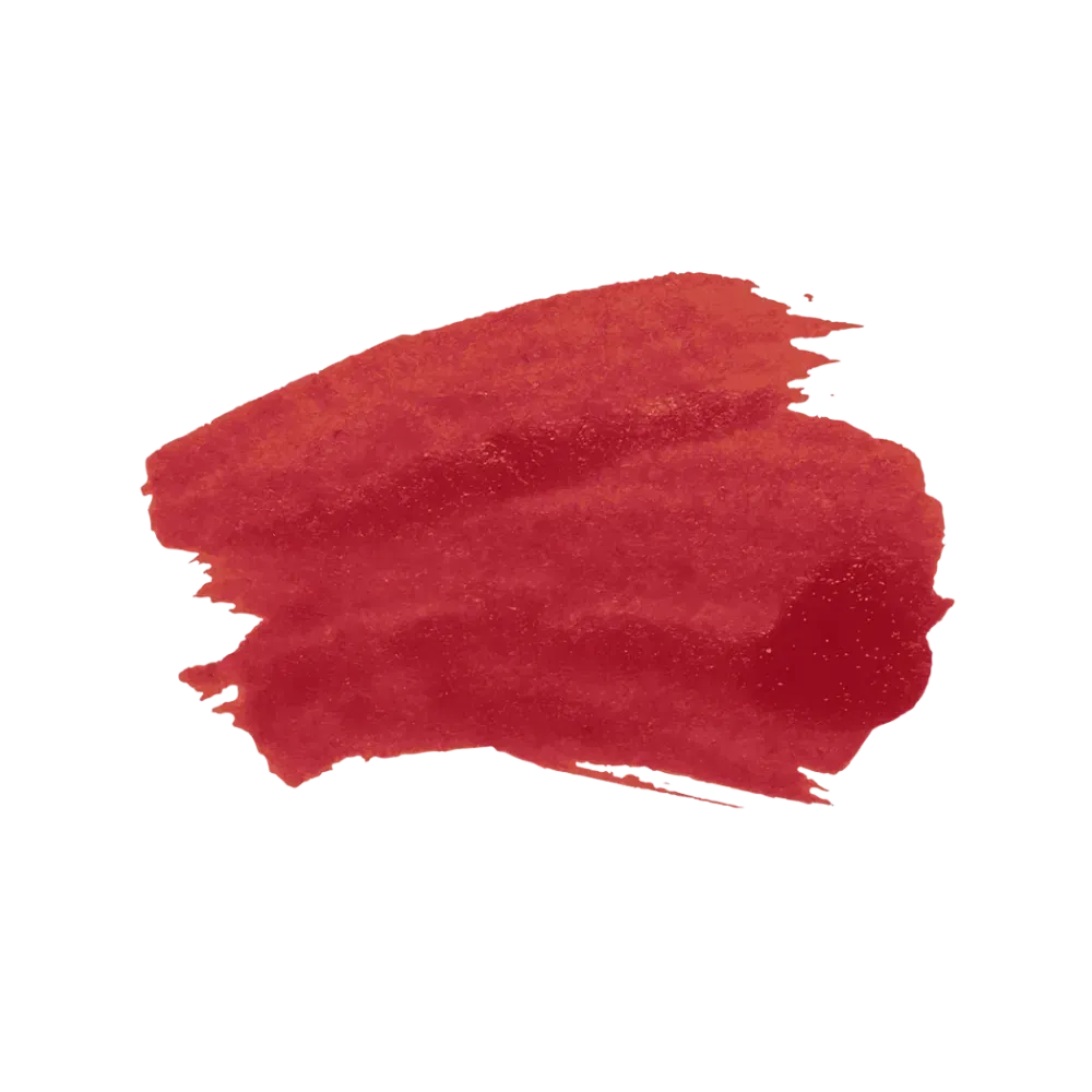 SACHEU Peel Off Lip Liner STAY-N - Getredy