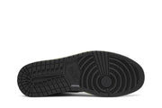 Air Jordan 1 High OG Biohack
