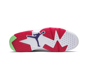 Air Jordan 6 Retro Hare