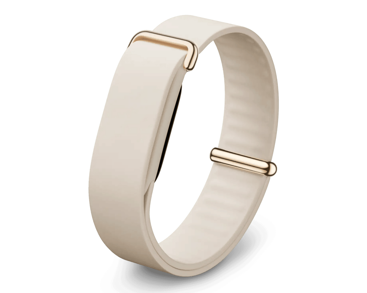 Google Fitbit Air Elevated Modern Band (Strap Only)