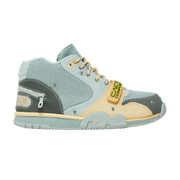 Air Trainer 1 x CACT.US CORP Grey Haze and Dusty Sage