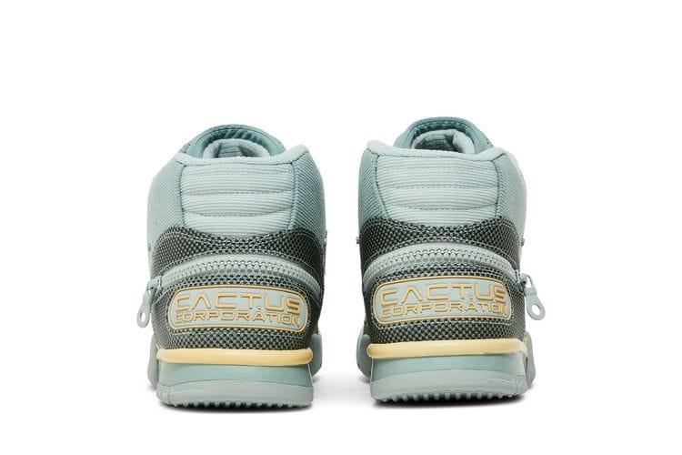 Air Trainer 1 x CACT.US CORP Grey Haze and Dusty Sage