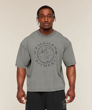 Gymshark Vintage Legacy T-Shirt Ash Grey