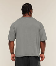 Gymshark Vintage Legacy T-Shirt Ash Grey