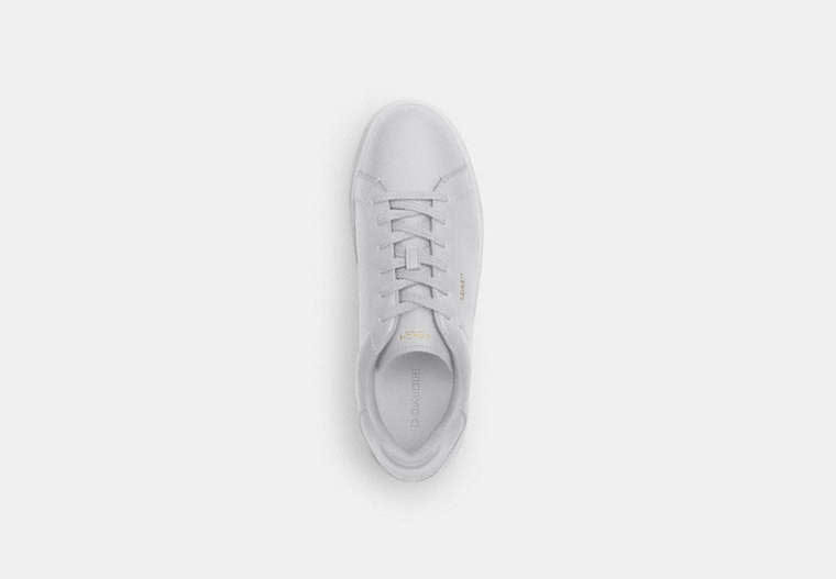 High Line Sneaker