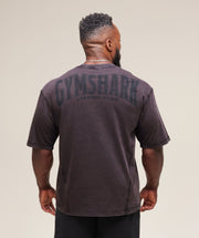 Gymshark Heritage Washed T-Shirt - Plum Brown