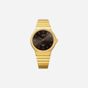 Casio MQ-24GA-1A Quartz Black Dial Gold Stainless Steel Watch