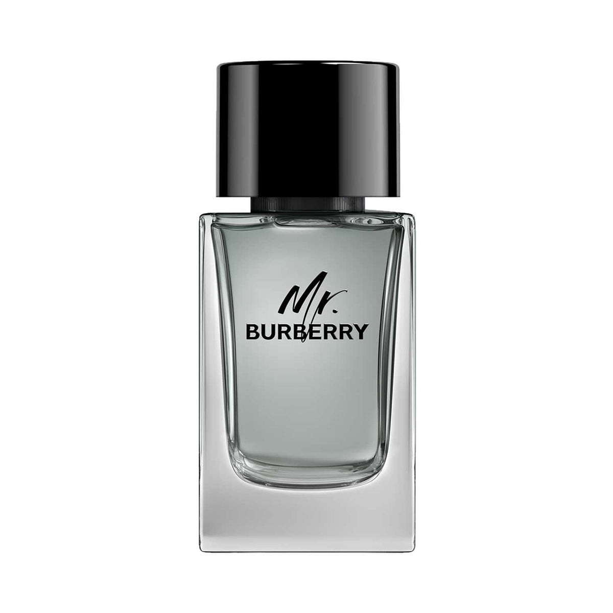 Burberry Mr. Burberry Eau De Toilette (100ml) - Burberry