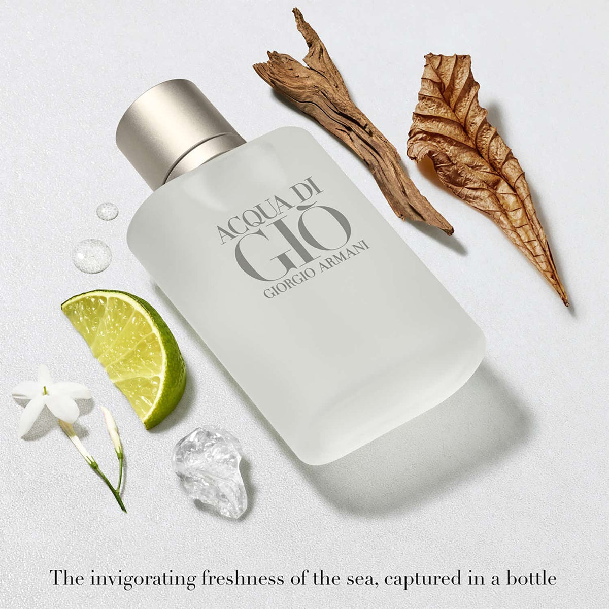 Giorgio Armani Acqua Di Gio Eau De Toilette (100ml) - Giorgio Armani