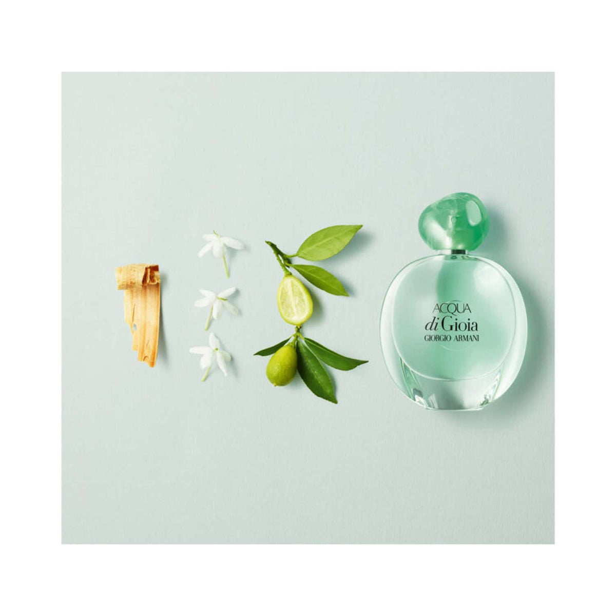 Giorgio Armani Acqua Di Gioia Eau De Parfum (50ml) - Giorgio Armani