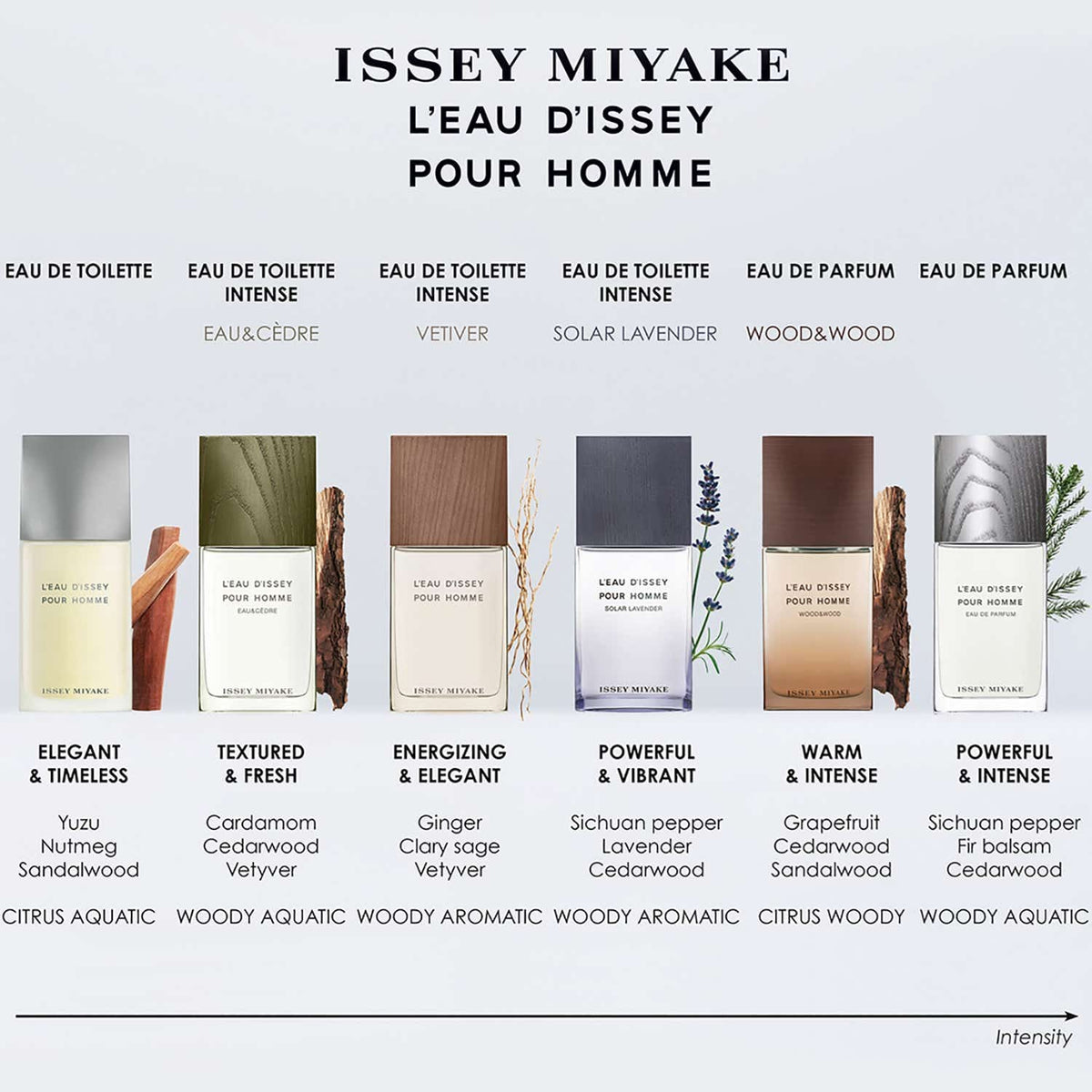 Issey Miyake L'Eau D'Issey Pour Homme Eau De Parfum (75 ml) - Issey Miyake