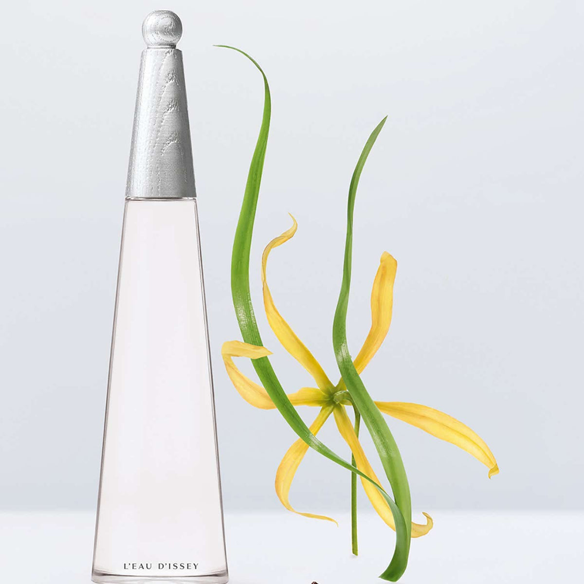 Issey Miyake L'Eau D'Issey Eau De Parfum Intense (30 ml) - Issey Miyake