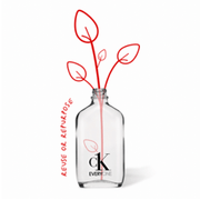 Calvin Klein Everyone Eau De Toilette (50ml) - Calvin Klein