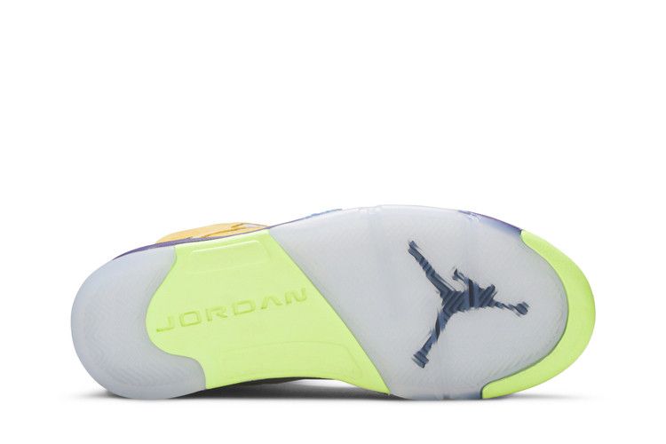 Air Jordan 5 Retro SE What The