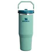 Stanley The IceFlow Flip Straw Tumbler | 30 OZ Spring Green