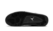 Air Jordan JORDAN AIR JORDAN 4 RETRO Black Cat 2020