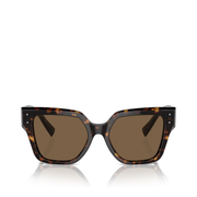 Sunglasses Brown