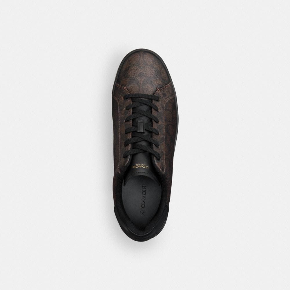 High Line Sneaker — Part 2