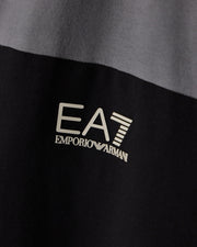 EA7 Regular fit t-shirt in cotton jersey