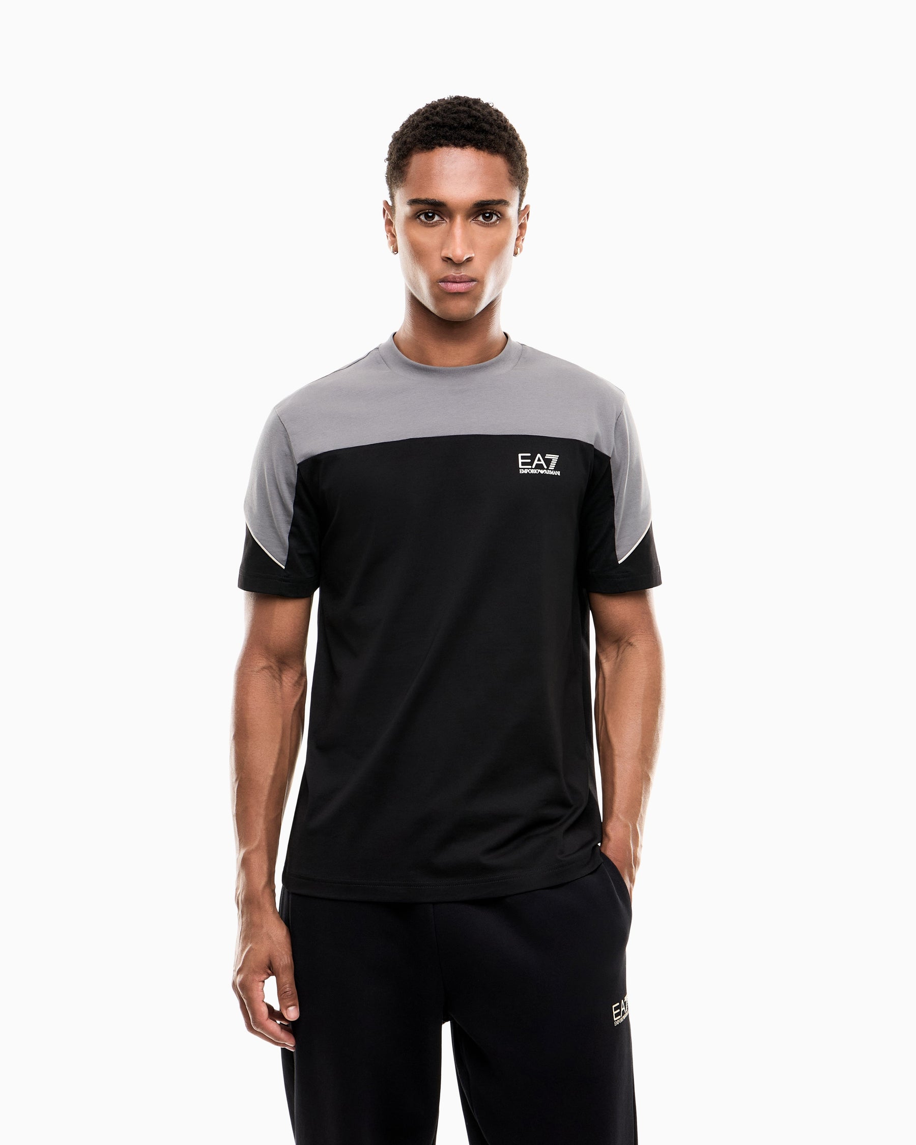 EA7 Regular fit t-shirt in cotton jersey