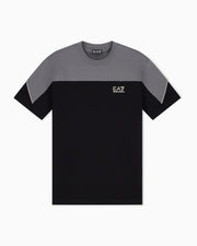 EA7 Regular fit t-shirt in cotton jersey
