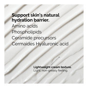 Natural Moisturizing Factors + HA