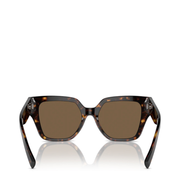 Sunglasses Brown