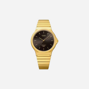 Casio MQ-24GA-1A Quartz Black Dial Gold Stainless Steel Watch