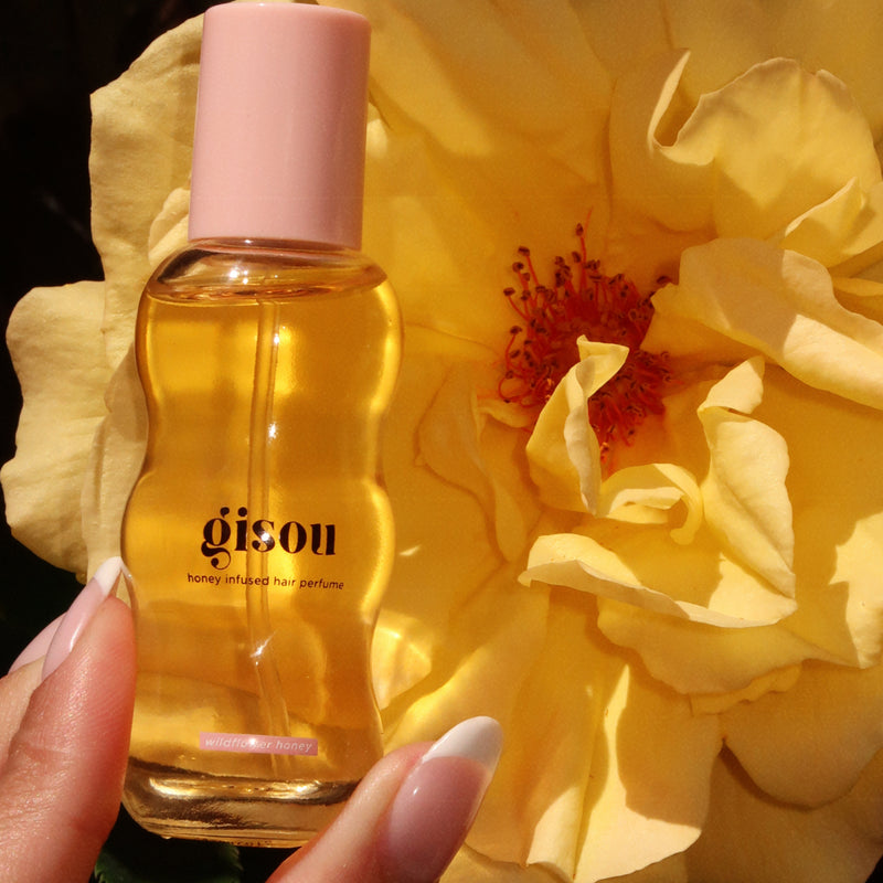 Gisou