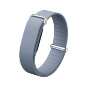 Google Fitbit Air Elevated Modern Band 'Porcelain' (Strap Only)