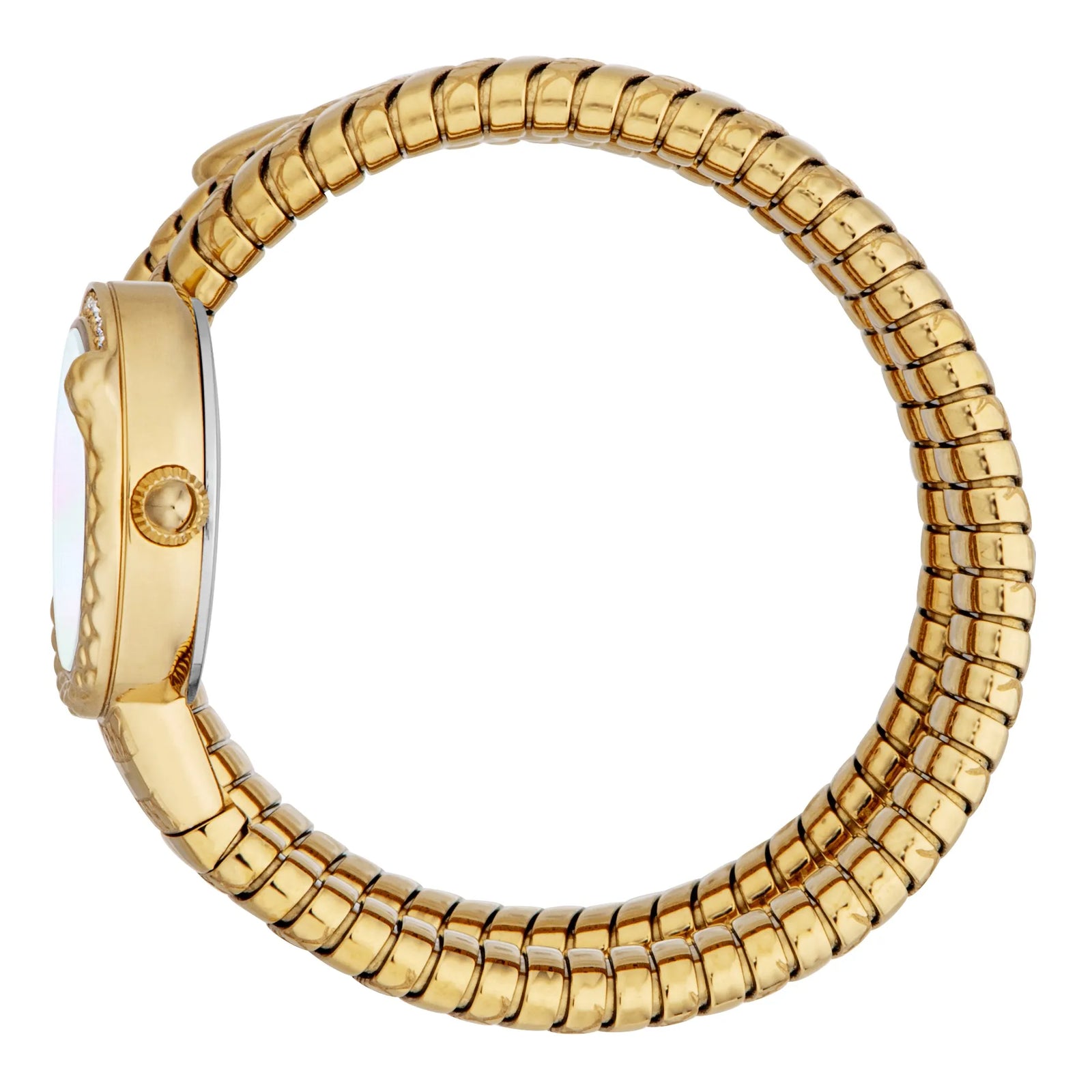 Just Cavalli