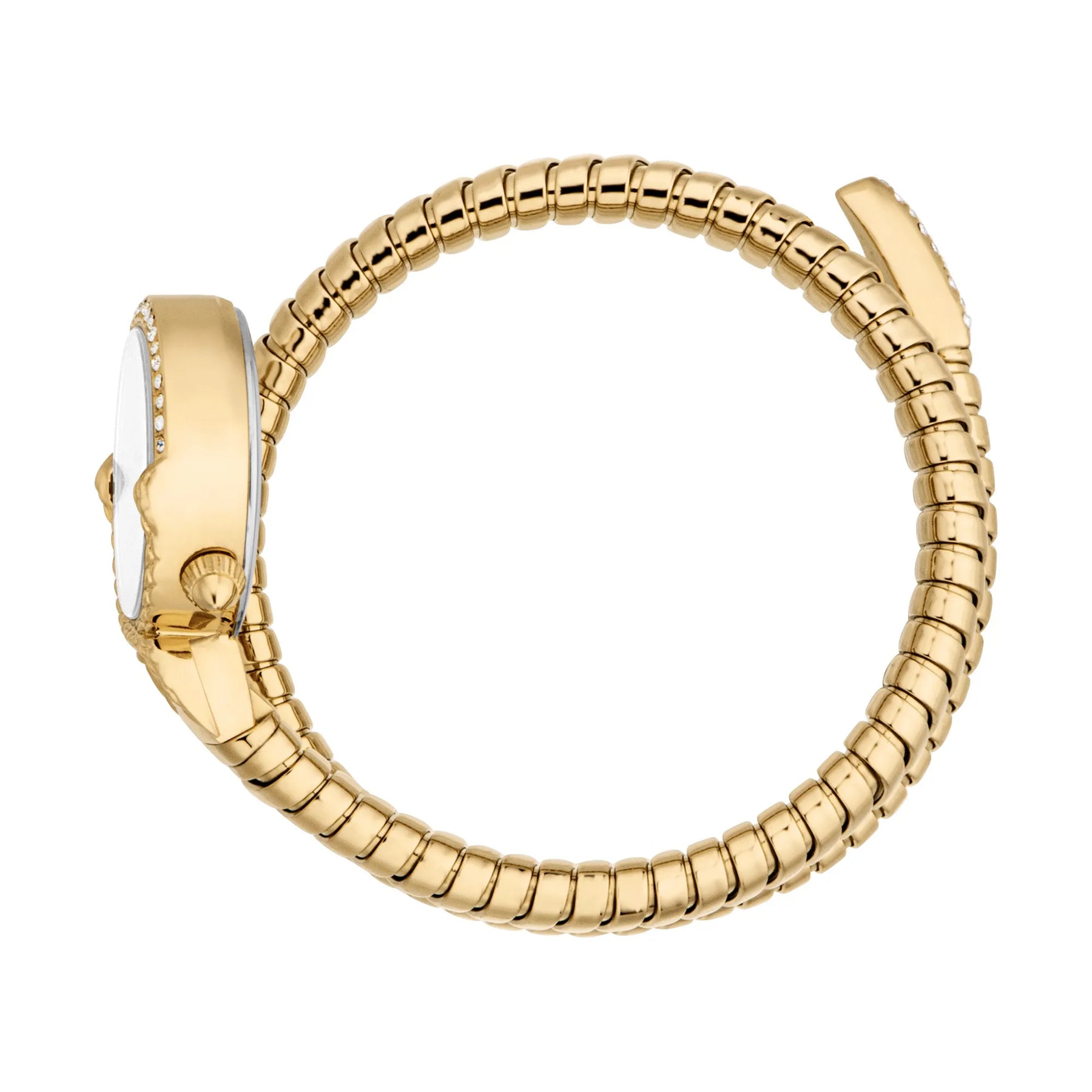 Radiosa Yellow Gold Silver