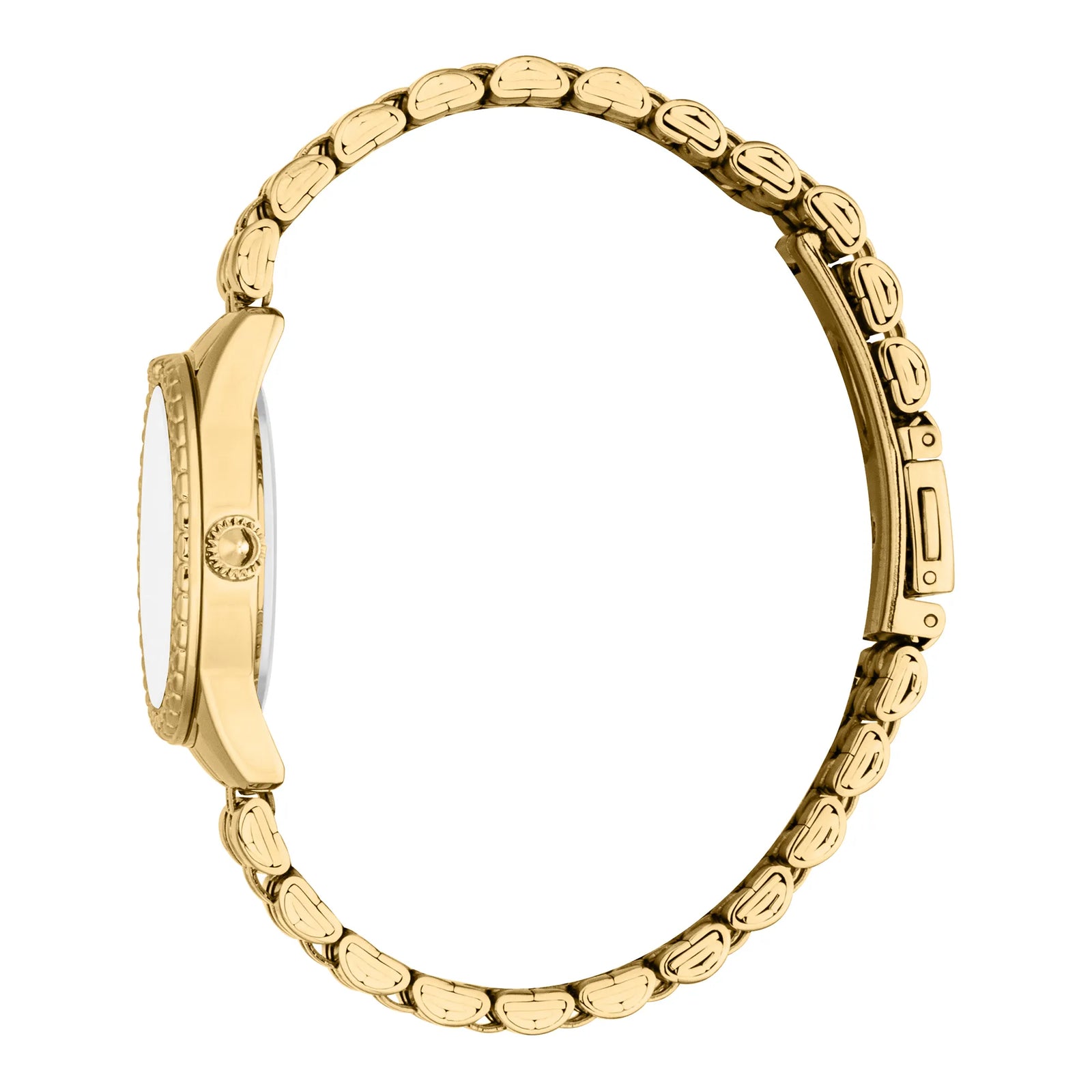 Just Cavalli