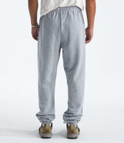 The North Face Men’s Evolution Simple Dome Regular Pants TNF Pale Grey Heather
