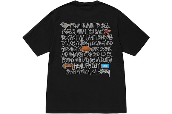 Stussy Heal The Bay Pigment Dyed Summit To Sea T-Shirt Black