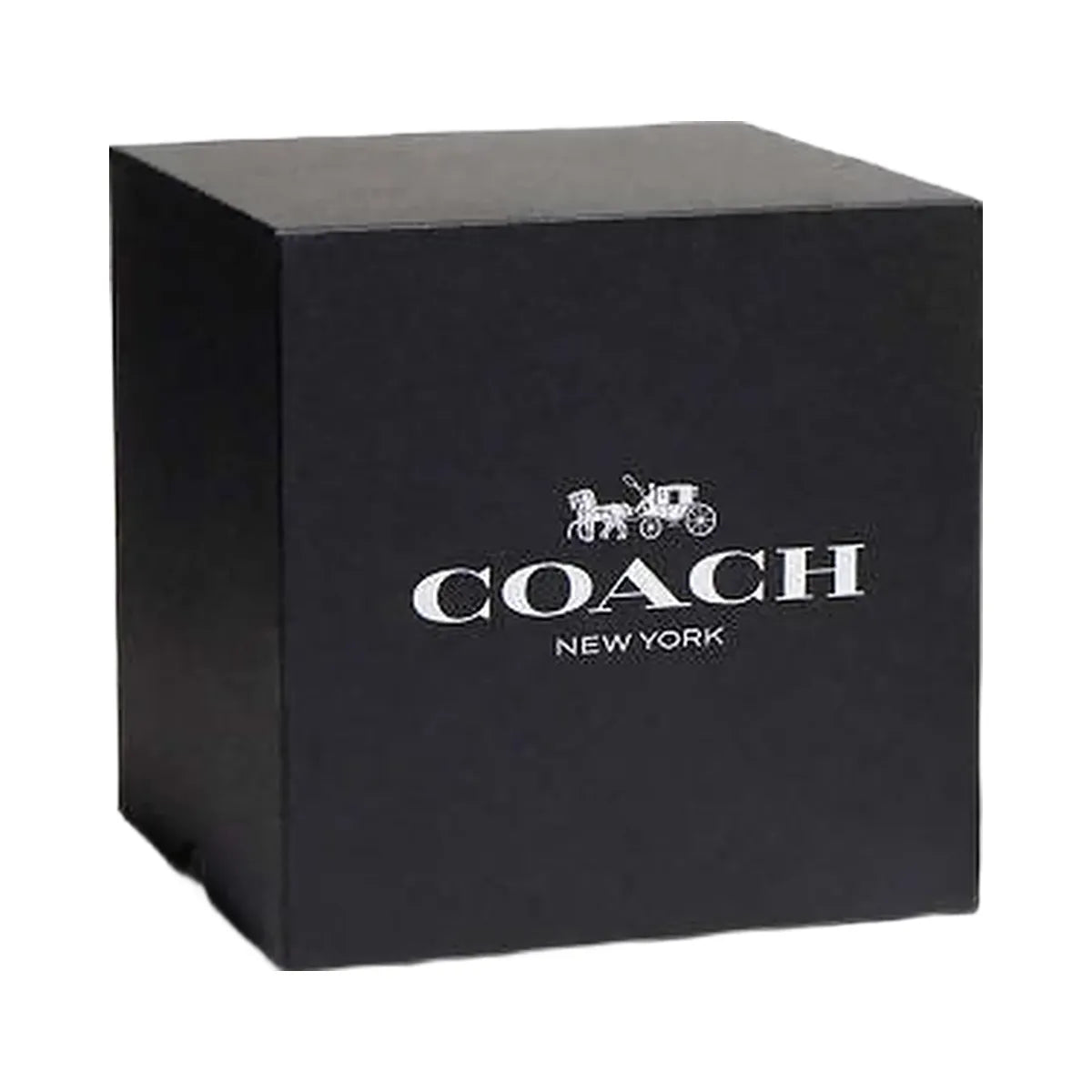 Coach Coach Candle Clear Multi