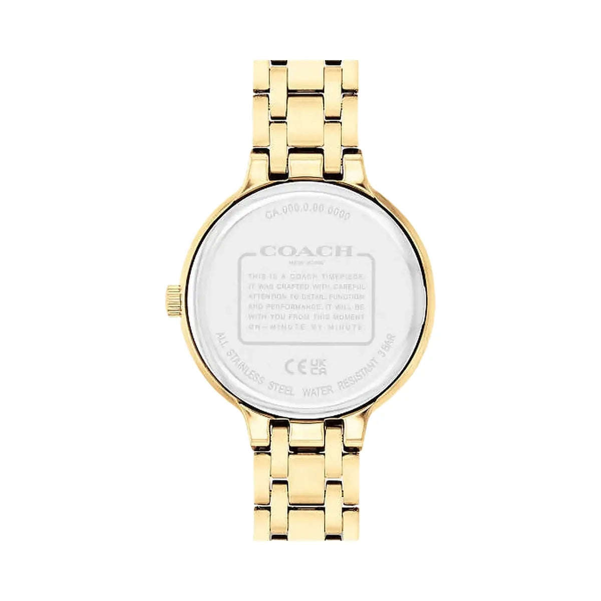 Coach Josie Watch, Rainbow - 34 mm