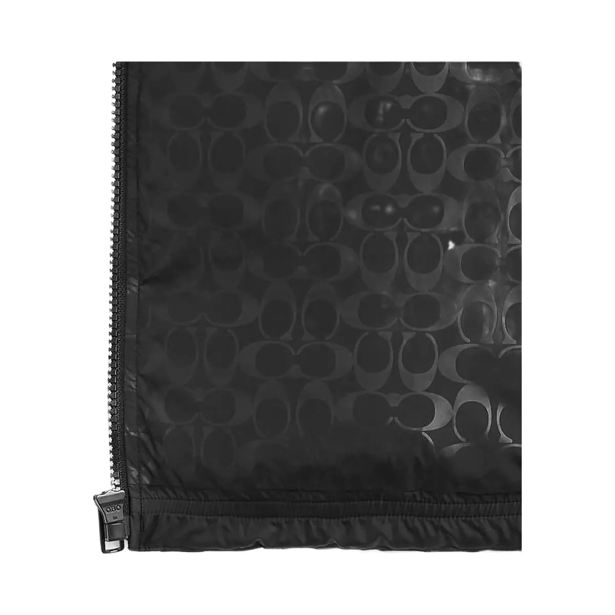 Coach Signature T-Shirt In Organic Cotton Black