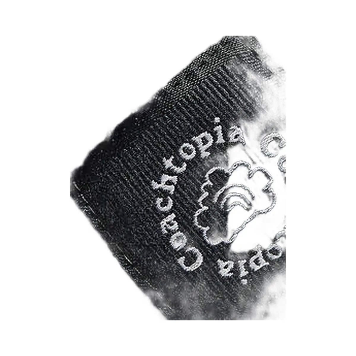 Coach Hoodie With Coachtopia Graphic Label Black
