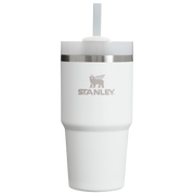 Stanley The Quencher H2.0 FlowState Tumbler 20 OZ Frost