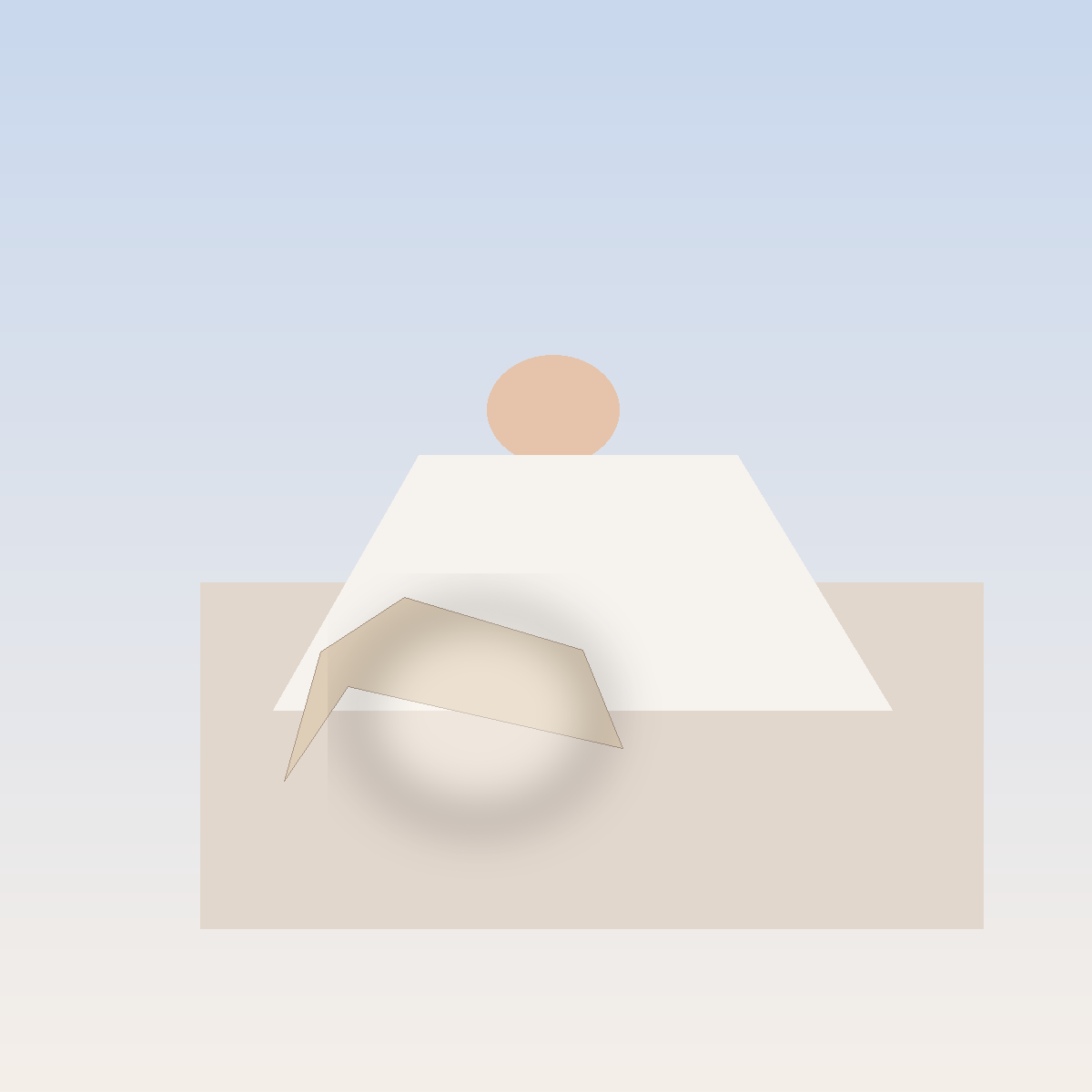 Pillowcase - Champagne - Standard