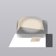 Pillowcase - Champagne - Standard