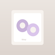 Blissy Silk Scrunchie Duo