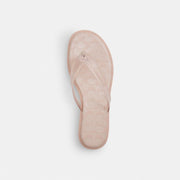 Women's Coach Jelly Flip Flop In Signature Candy Pink