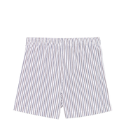Multicolor Shorts Pant