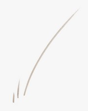 Boy Brow Arch