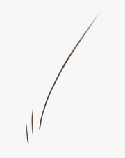 Boy Brow Arch