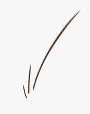 Boy Brow Arch