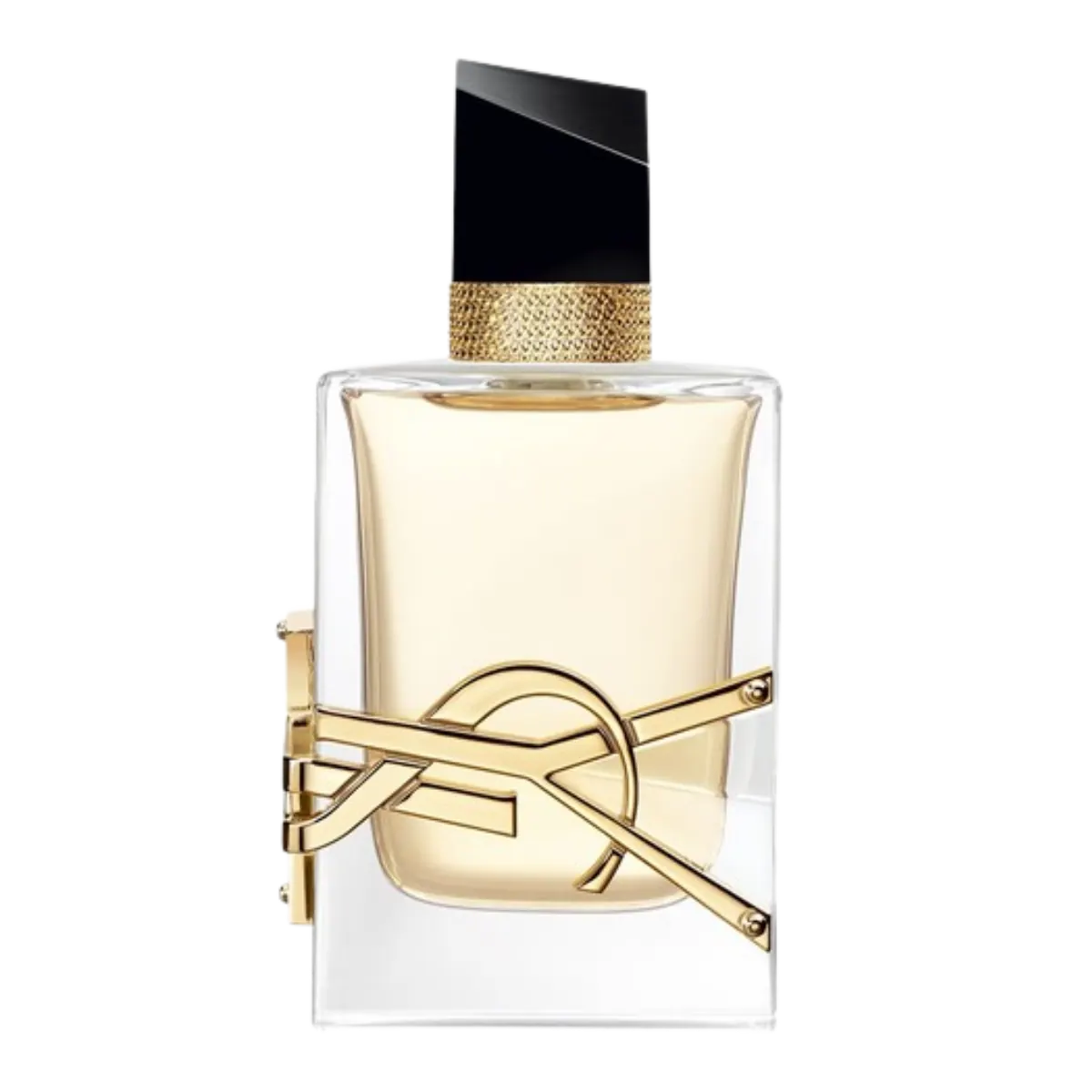 Yves Saint Laurent